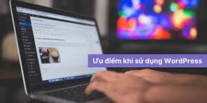 Dịch Vụ Thiết Kế Website WordPress