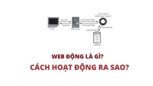 Web Động Là Gì?