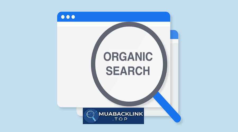 Organic Search Là Gì