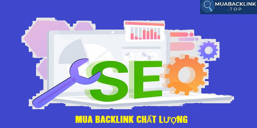 Mua backlink chất lượng Mua backlink chất lượng